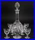 Boda-Floral-Crystal-Cordial-Decanter-Stopper-with-10-Glasses-Vtg-Signed-01-faj