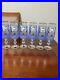 Czech-Republic-art-cristal-Wine-glasses-Handpainted-blue-set-6-01-xh