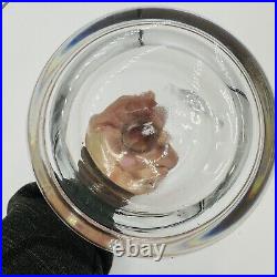 Spiegelau Decanter Bottle Lidded Crystal Home Decor Vintage Lid Glass Clear