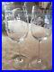 THERESIENTHAL-Germany-Connoisseur-Etched-Crystal-Wine-Glasses-01-ne