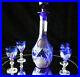 Vintage-Blue-Cut-To-Clear-BOHEMIAN-Crystal-Wine-Decanter-with-4-glasses-01-tgac