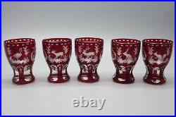 Vintage Bohemian Cranberry Etched Glass Decanter with 5 Etched Cordial Glasses