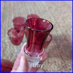 Vintage Etched Floral Cranberry Glass Decanter Barware Serveware Drinkware Set