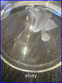 Vintage Hario Living Ware Swan Glass Decanter with Stopper & Box Japan RARE