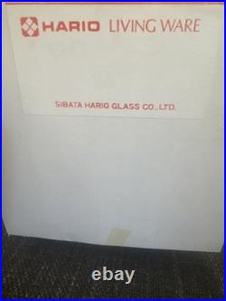 Vintage Hario Living Ware Swan Glass Decanter with Stopper & Box Japan RARE