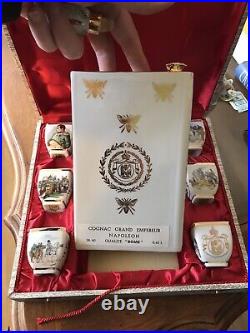 Vintage Limoges Napoleon Cognac Liqueur Book Decanter Set with 6 Glasses & Case