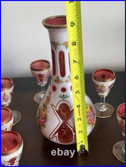 Vintage Murano Italian Art Glass Cordial Decanter Set Pink Floral Gold Gilt