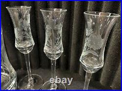 Vintage Tulip Etched Crystal Cordial Sherry Decanter Stemmed Glasses Set L64dc