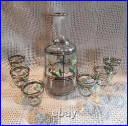 Vtg. Unique Hand Painted Floral Clear Glass decanter & 6 Cordial Glasses Set