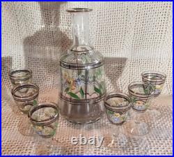 Vtg. Unique Hand Painted Floral Clear Glass decanter & 6 Cordial Glasses Set
