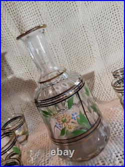 Vtg. Unique Hand Painted Floral Clear Glass decanter & 6 Cordial Glasses Set