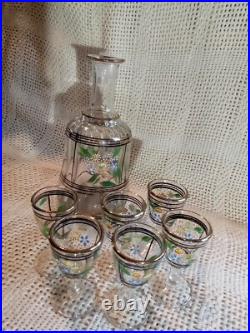 Vtg. Unique Hand Painted Floral Clear Glass decanter & 6 Cordial Glasses Set