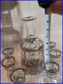 Vtg. Unique Hand Painted Floral Clear Glass decanter & 6 Cordial Glasses Set